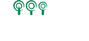 Flute Tree Logo
