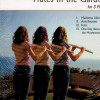 Schocker Flutes In The Garden for 3 Flutes (Presser)
