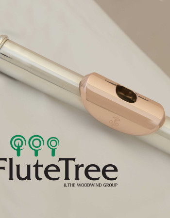 Lafin Sterling Silver Headjoint with 14k Lip plate and Riser