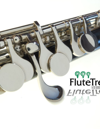 Bulgheroni 401-R  Grenadilla