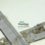 Sankyo CF 301 RBE
