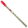 Generation Flageolet (Tin Whistle) - Lacquered Brass
