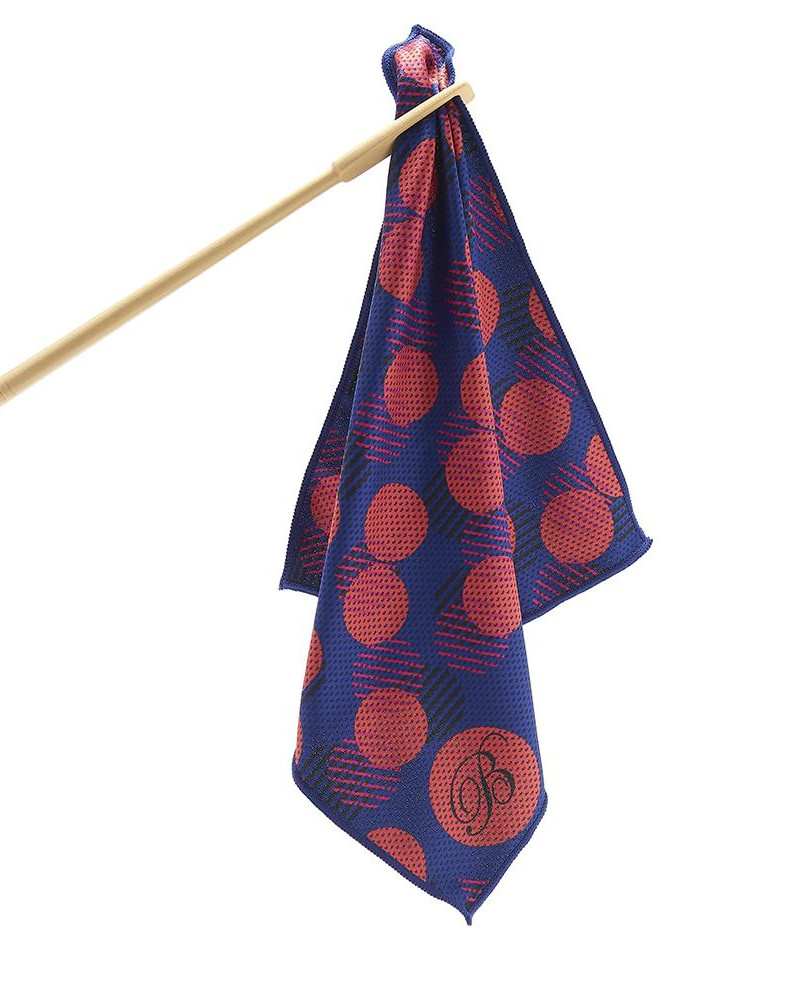 Beaumont Bamboo Flute Swab