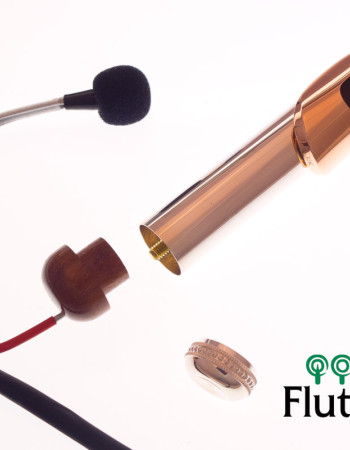 Aungles Microphone