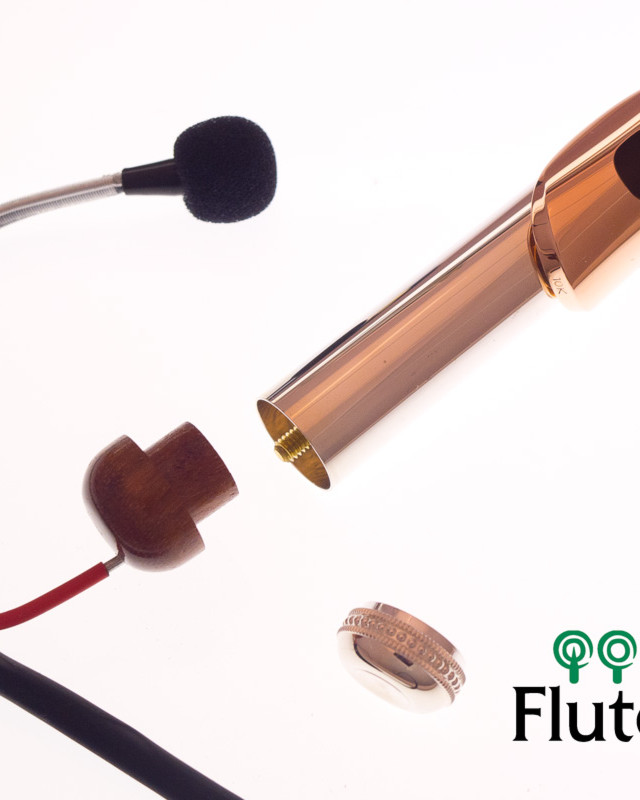 Aungles Microphone