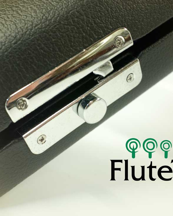 TWG Vinyl Flute Case 