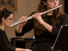 Semi-Professional Flutes