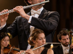 Professional Flutes